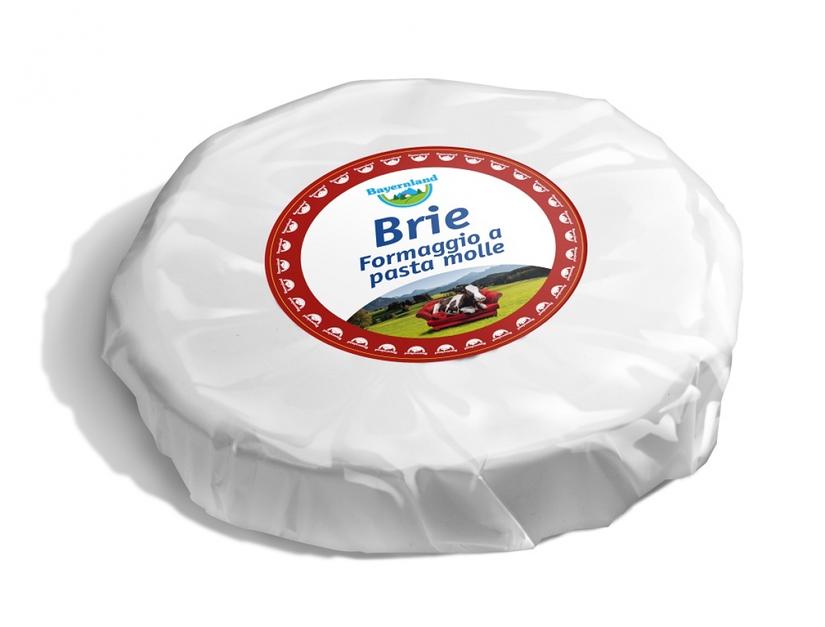 FORMAGGIO BRIE DA 1 KG